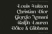 Qelrage Modern Serif Font, a Serif Font by Storytype Studio (Thumbnail 6 of 15)