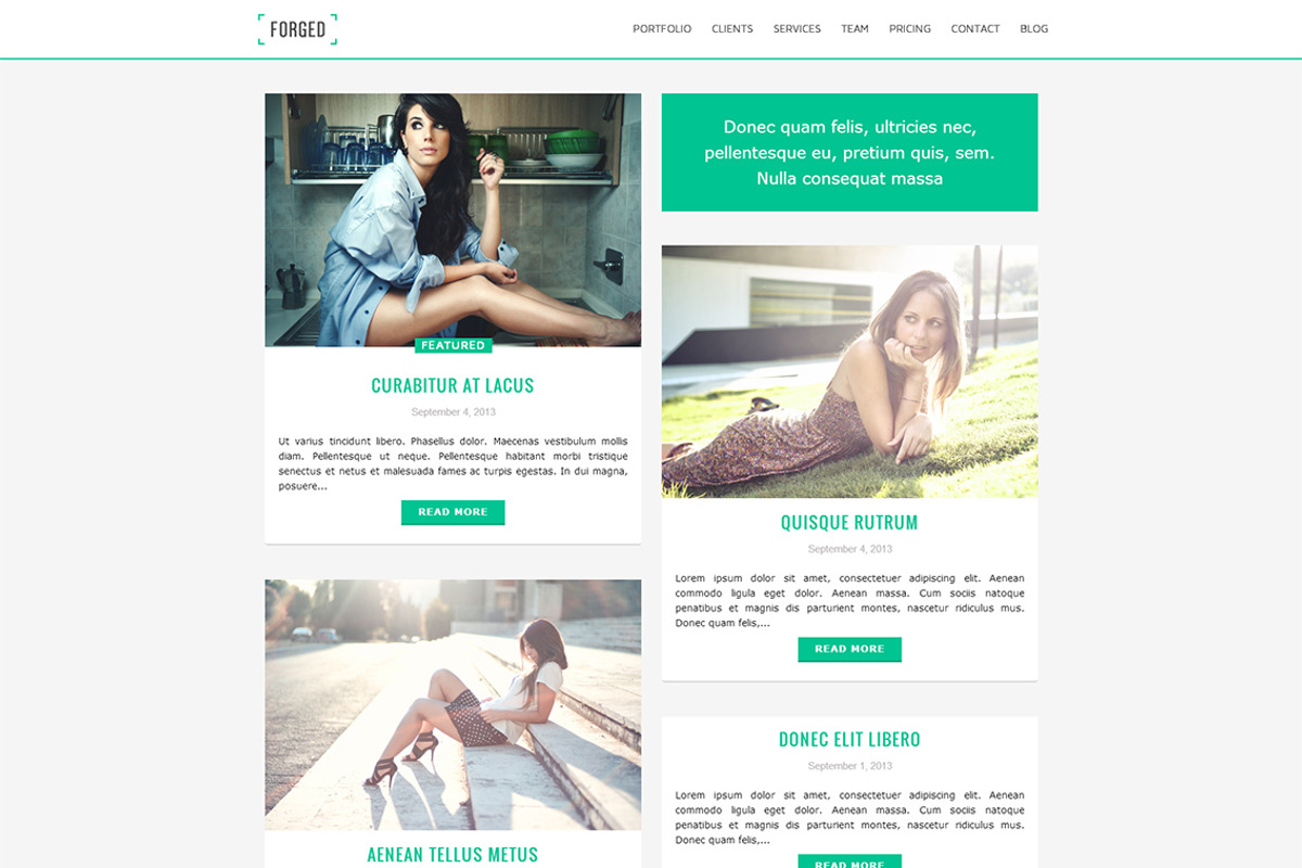 Forged - OnePage Parallax Theme, a WordPress Template by Theme-Forge (Photo 5 of 5)