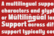 Stop Here -  Bold Sans Font, a Sans Serif Font by Lettersiro (Thumbnail 5 of 8)