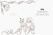 Iris Botanical Line Floral Vector, a Decorative Illustration by katmonne (Thumbnail 13 of 14)
