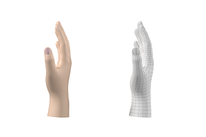 Endomorph Male Hand Base Mesh 02