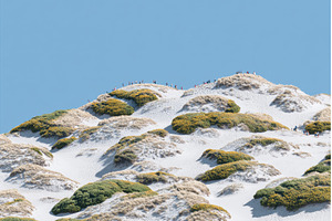 Visitors stroll across the sandy, a Holiday Photo by ZinetroN