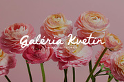 Dusty Orange handwritten font, a Handwritten Font by BilberryCreates (Thumbnail 4 of 12)