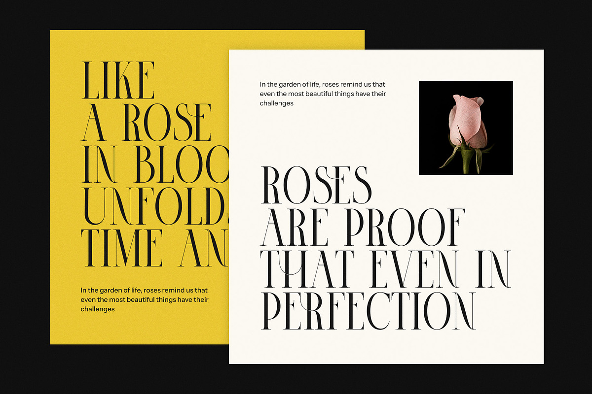 Cinose Elegant Serif Font, a Serif Font by Perfectype (Photo 3 of 8)