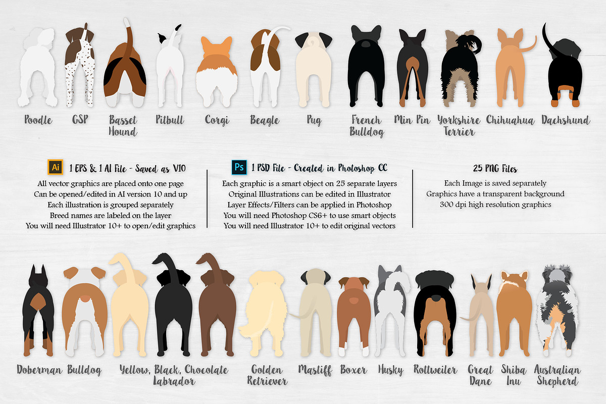 Dog Butts Bundle - Vector, PSD, PNG, an Illustration by VizualStorm (Photo 2 of 4)