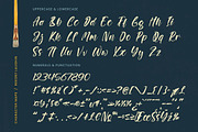 Rekont Laughin Bold Brush Font, a Script Font by stylishtype.co (Thumbnail 18 of 20)