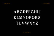 Valenzka Vintage Serif Font, a Serif Font by UICreative (Thumbnail 6 of 11)