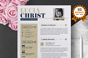 Resume/CV Bundle | 200+ for $29, a Resume Template by ResumeInventor (Thumbnail 73 of 207)