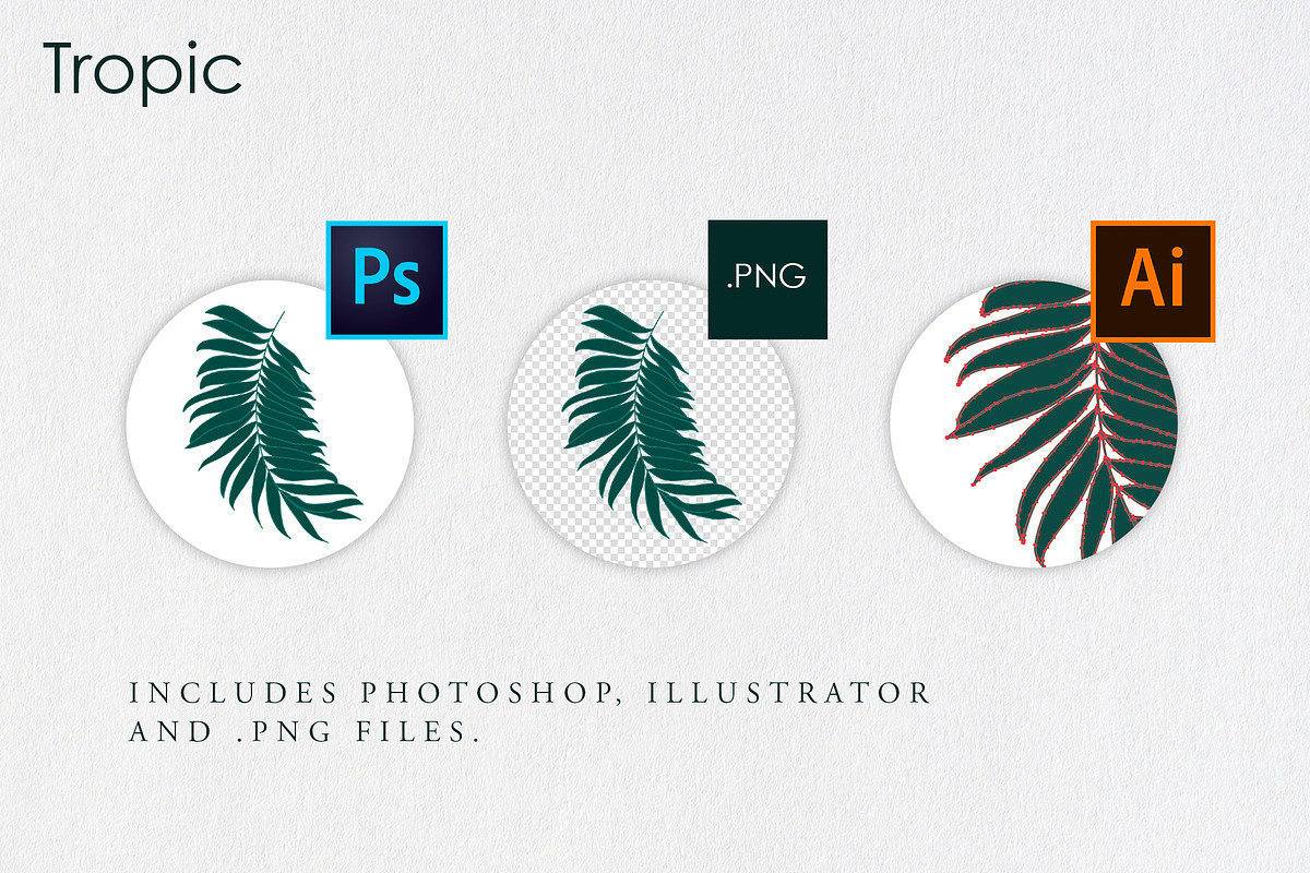 Tropic | Tropical Illustrations, an Illustration by new public (Photo 6 of 6)