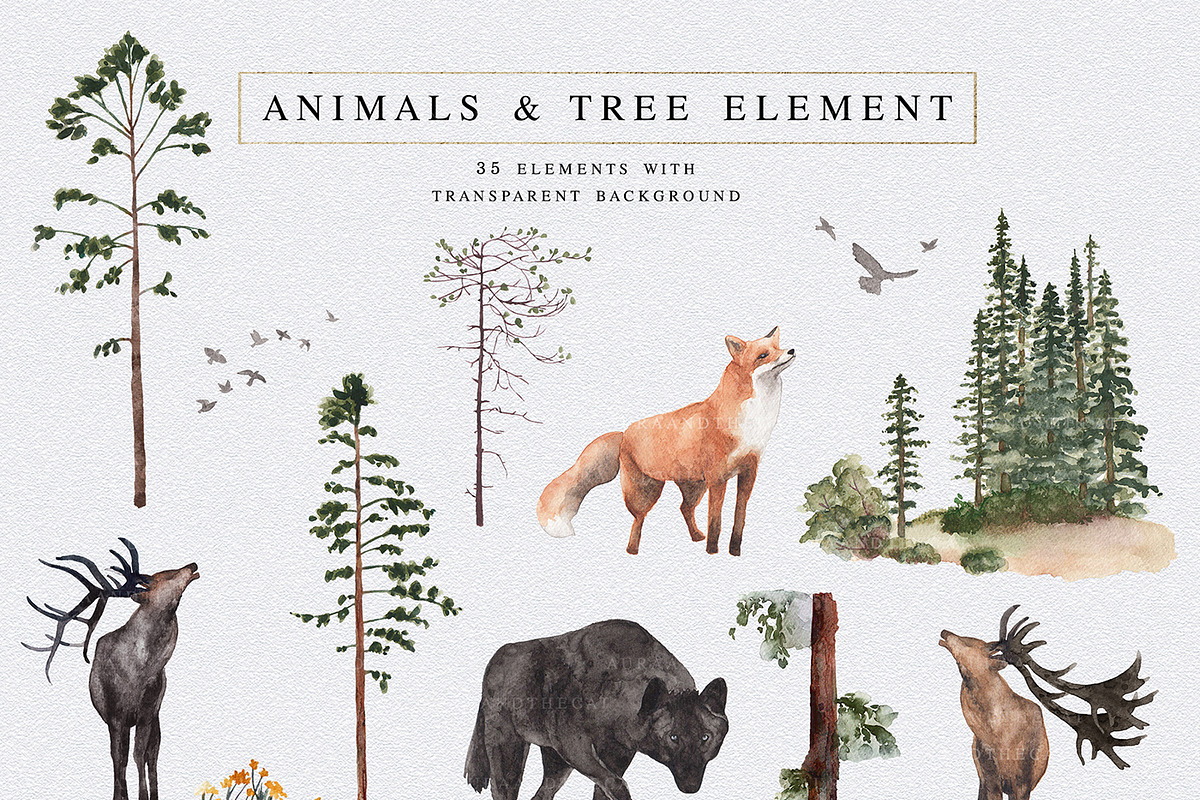 Into The Wild, an Animal Illustration by AurAandTheCat (Photo 9 of 30)