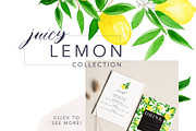 Juicy Watercolor Lemon Set, an Illustration by One and Only Paper (Thumbnail 4 of 9)