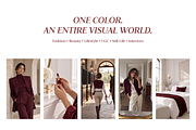 Burgundy Collection – Luxury Photo, a Beauty & Fashion Photo by Digital Blood (Thumbnail 4 of 16)