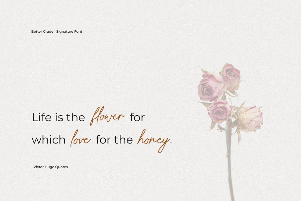 Better Grade Modern Signature Font, a Script Font by Heinzel Std (Photo 21 of 24)