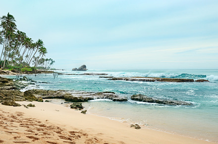coral reefs in the ocean, a Nature Photo by Serg64