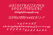 Angilla Denis - Brush Script Font, a Script Font by StringLabs (Thumbnail 12 of 13)