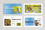 Wildlife Presentation Template, a Presentation Template by MightyDesign (Thumbnail 5 of 8)