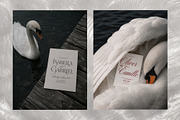 Swan Nocturne Editorial Mockups, an Advertising Mockup by Muse Mockups (Thumbnail 4 of 12)