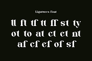 Eqaslo - Elegant Vintage Font, a Serif Font by Iqsiart Studio (Thumbnail 13 of 14)