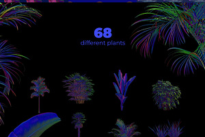 NEON Plants & Stones Collection 01