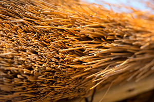 Thatched Roof Detail, a Nature Photo by THP Creative