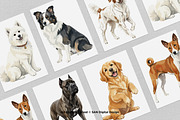 15 Bundle Watercolor Big Dog Fluffy, an Animal Illustration by Morspective (Thumbnail 3 of 8)