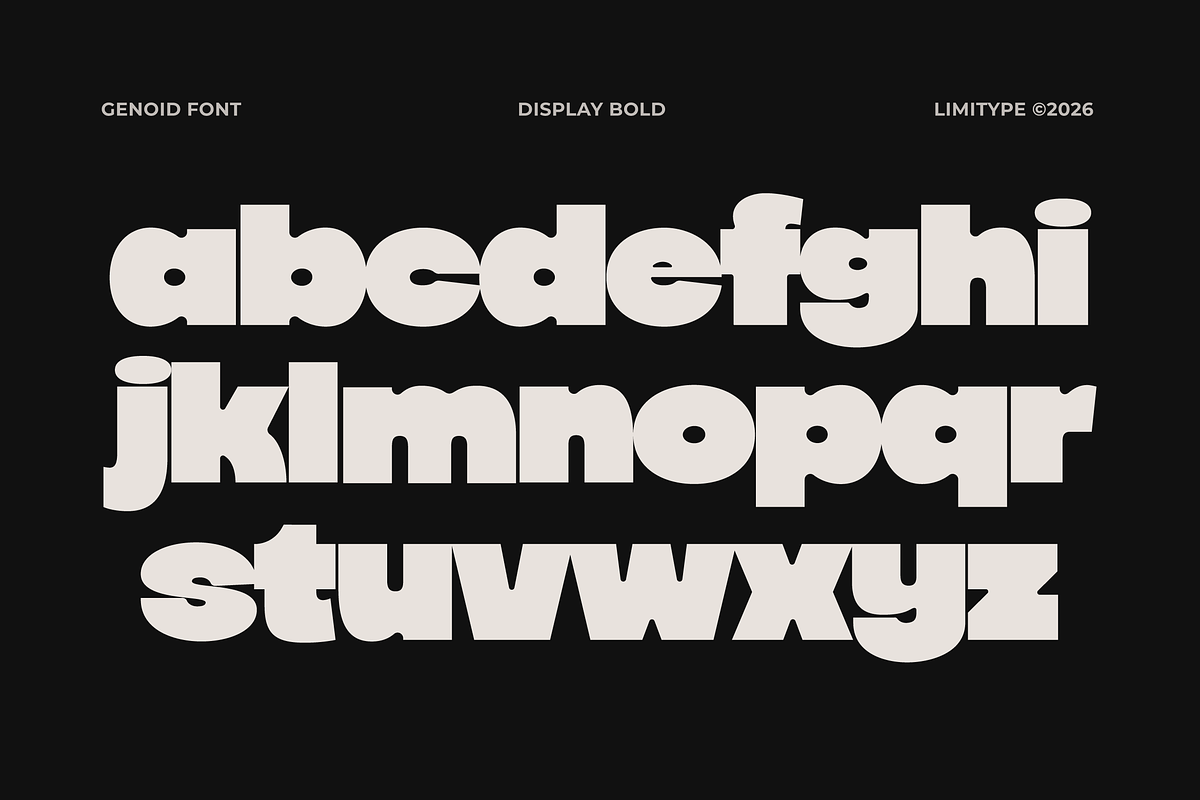 Genoid - Bold Display Font, a Sans Serif Font by limitype (Photo 10 of 12)