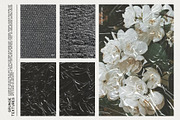 Distressed Textures & Overlays, a Texture Graphic by May Motif (Thumbnail 4 of 14)