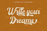 Vintage Feeling, a Script Font by Vintage Division (Thumbnail 8 of 10)