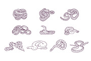 Breeds Snake Handdrawn Vol 2, an Animal Illustration by SLAB! Design (Thumbnail 3 of 3)