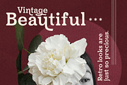 Dhrifted Slab Serif Font, a Slab Serif Font by Storytype Studio (Thumbnail 4 of 15)
