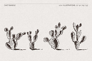Sketch Cacti Vector Bundle, a Seasonal Illustration by TheMountBirdStudio (Thumbnail 9 of 14)