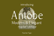 VT Antobe - Modern Serif, a Serif Font by ViactionType (Thumbnail 1 of 12)
