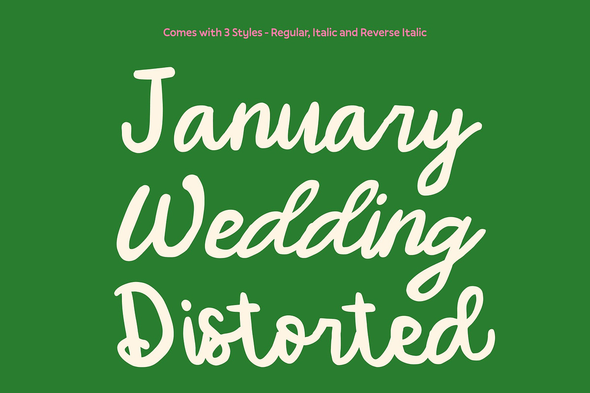 CS Danica – Handwritten Script, a Script Font by Craft Supply Co. (Photo 5 of 8)