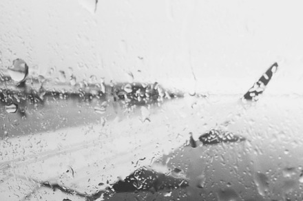 View From The Window preview 6