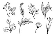 Summer in the forest illustrations, a Decorative Illustration by Robusta (Thumbnail 2 of 4)
