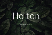 Halton - Modern Sans Serif Typeface, a Sans Serif Font by Cassandra Cappello (Thumbnail 1 of 5)