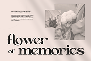 Aseno Modern - Ligatures Serif Font, a Serif Font by Nirmana Visual (Thumbnail 17 of 17)