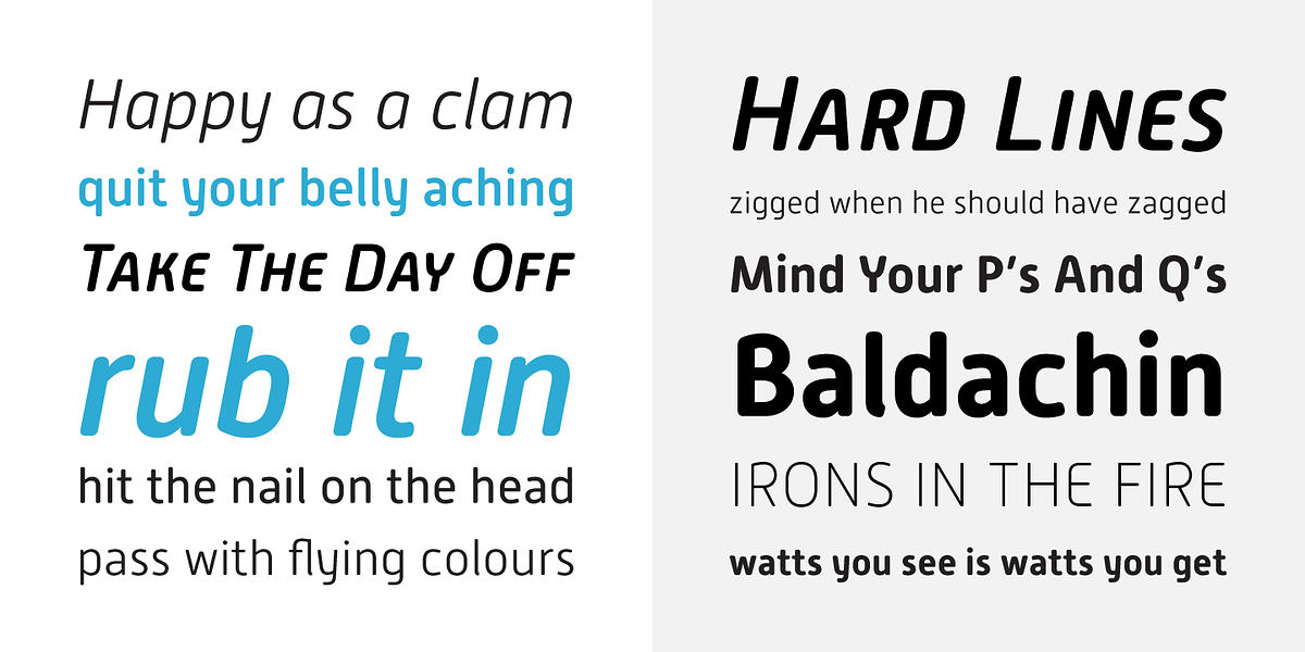Alwyn New Rounded, a Sans Serif Font by Moretype (Photo 3 of 5)