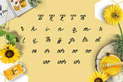 Honey Bee, a Script Font by Font Bundles (Thumbnail 3 of 3)