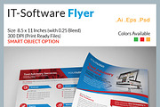 IT and Software Flyers, a Flyer Template by RQ Designs (Thumbnail 2 of 11)