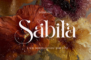 Sabila Modern Ligature Serif, a Serif Font by Alfinart (Thumbnail 1 of 11)