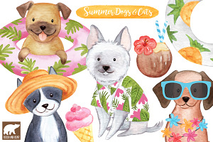 Summer Dogs and Cats