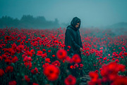 Poppy Field Dark Fantasy, a Person Illustration by StockVerse Creative (Thumbnail 3 of 4)