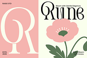 Pavelle Modern Editorial Serif Font, a Serif Font by Rasio Studio (Thumbnail 4 of 9)