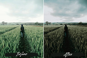 10 Moody Green Lightroom Presets, a Preset Add-On by MEPRESETS (Thumbnail 8 of 9)