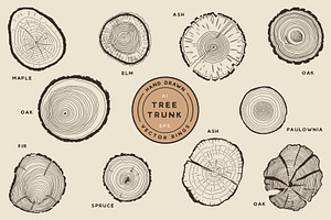 Tree Growth Rings Illustrations