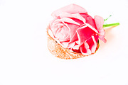 Pack 3 i styled stock stock photo containing minimalist and succulents, a Business Photo by SophieStockBoutique (Thumbnail 2 of 4)