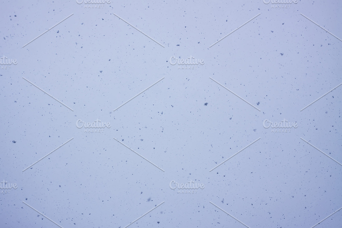 Snowfall textures and overlays, a Nature Photo by pictures for you (Photo 2 of 15)