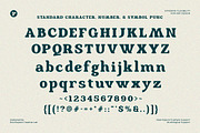 Locked Away -Swash Retro Vintage, a Serif Font by roomspace creative lab (Thumbnail 12 of 13)