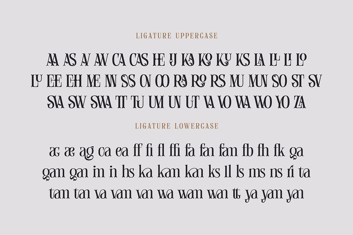 Manley, a Serif Font by Cruzine (Photo 7 of 8)